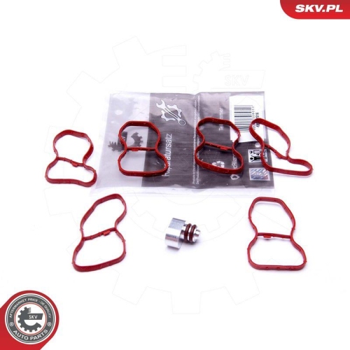 ESEN SKV Reparatursatz, Saugrohrmodul 49SKV516