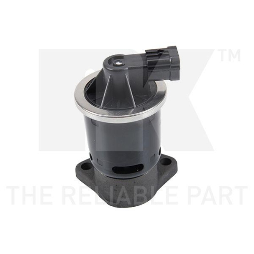 NK AGR-Ventil 4550002
