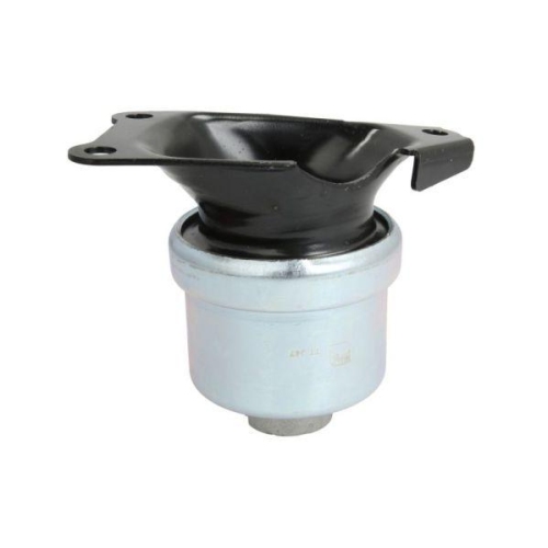 REINHOCH Lagerung, Motor RH11-0059