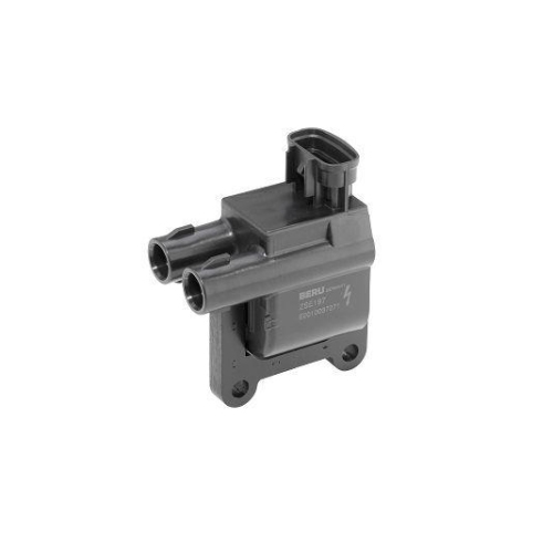 BorgWarner (BERU) Zündspule ZSE197