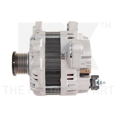 NK Generator 4839807