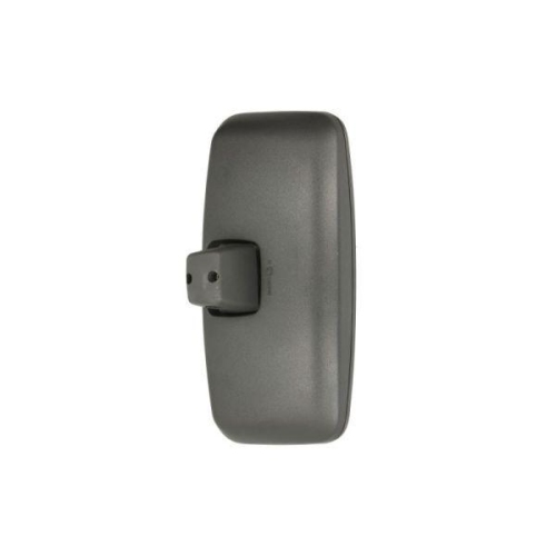 PACOL Au&szlig;enspiegel MAN-MR-048R