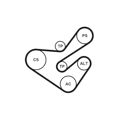 CONTINENTAL CTAM Keilrippenriemensatz 6PK1733K5