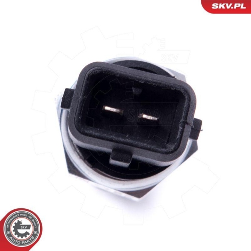 ESEN SKV Sensor, Motor&ouml;lstand 17SKV741