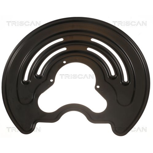 TRISCAN Spritzblech, Bremsscheibe 8125 25205