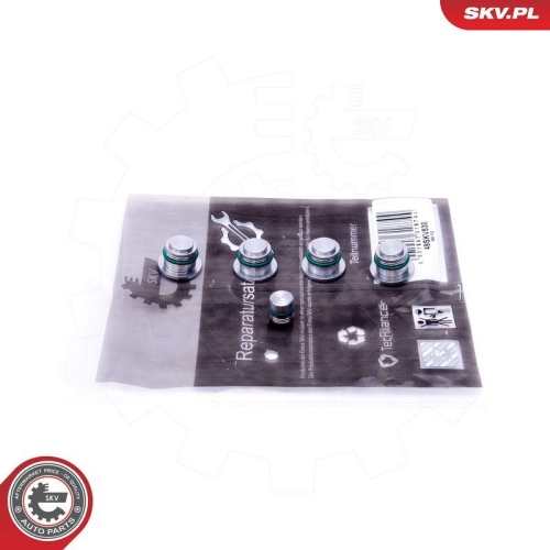 ESEN SKV Reparatursatz, Saugrohrmodul 49SKV530