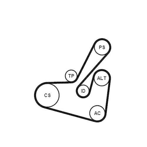 CONTINENTAL CTAM Keilrippenriemensatz 6PK1750K1