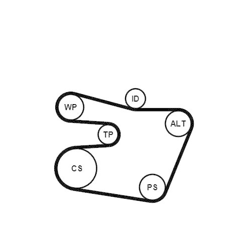 CONTINENTAL CTAM Wasserpumpe + Keilrippenriemensatz 6PK1538WP1