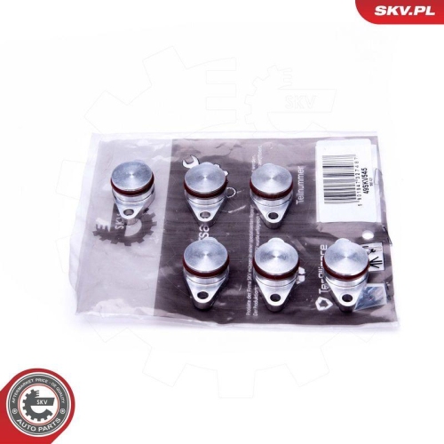 ESEN SKV Reparatursatz, Saugrohrmodul 49SKV545