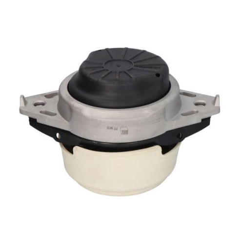 REINHOCH Lagerung, Motor RH11-3102