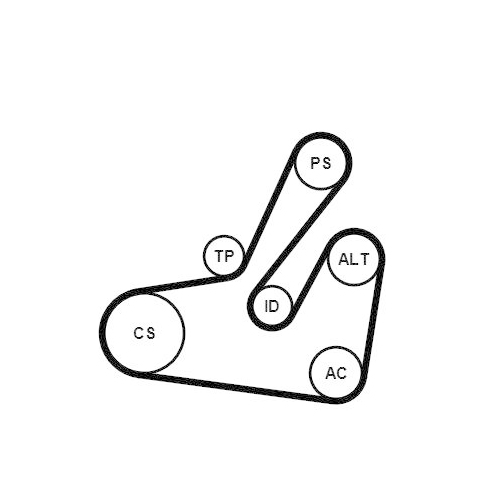 CONTINENTAL CTAM Keilrippenriemensatz 6PK1795K2