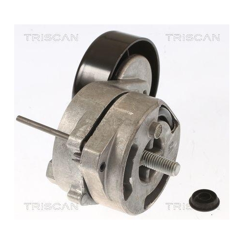 TRISCAN Riemenspanner, Keilrippenriemen 8641 293024