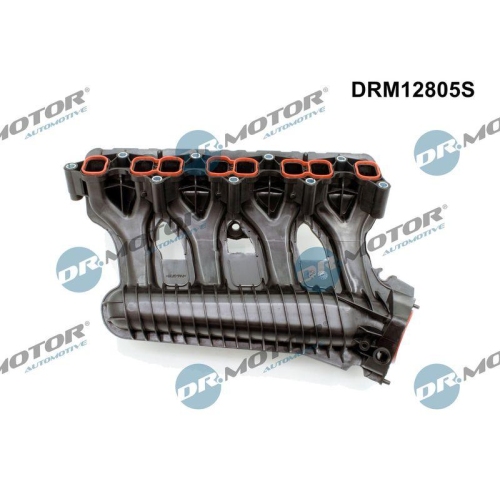 Dr.Motor Automotive Saugrohrmodul DRM12805S