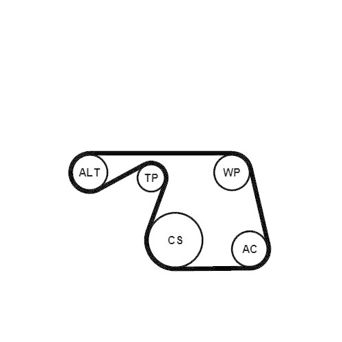 CONTINENTAL CTAM Wasserpumpe + Keilrippenriemensatz 6PK1310WP1