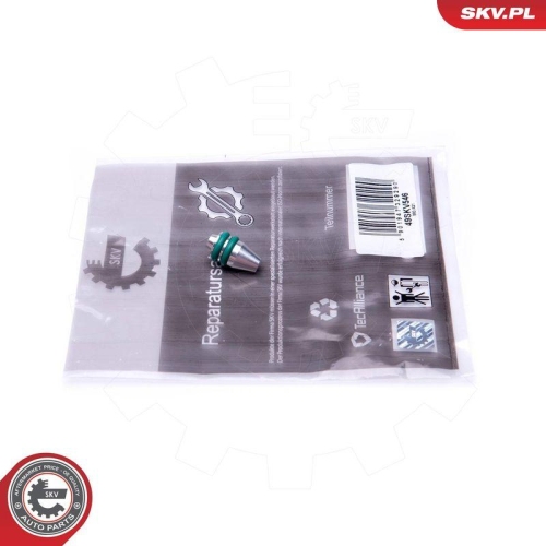 ESEN SKV Reparatursatz, Saugrohrmodul 49SKV546