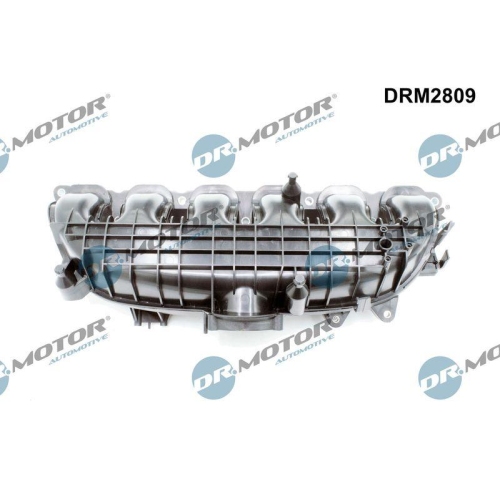 Dr.Motor Automotive Saugrohrmodul DRM2809