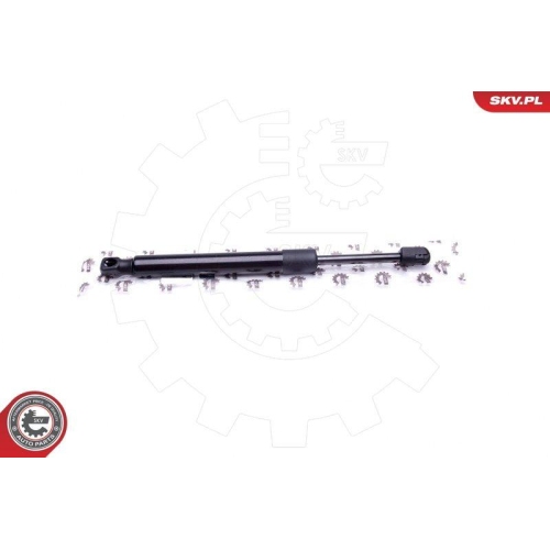 ESEN SKV Gasfeder, Koffer-/Laderaum