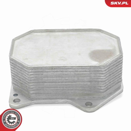 ESEN SKV &Ouml;lk&uuml;hler, Motor&ouml;l 31SKV320