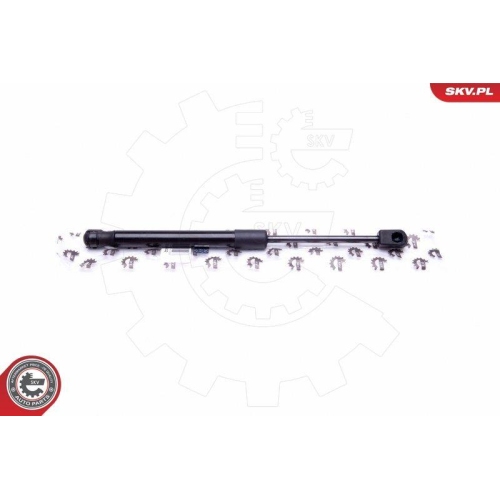 ESEN SKV Gasfeder, Koffer-/Laderaum