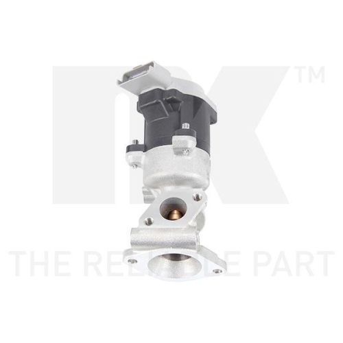 NK AGR-Ventil 4599029