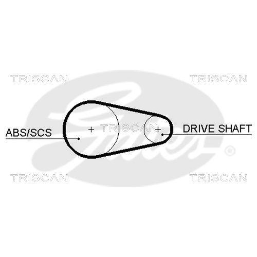 TRISCAN Zahnriemen 8645 5204XS