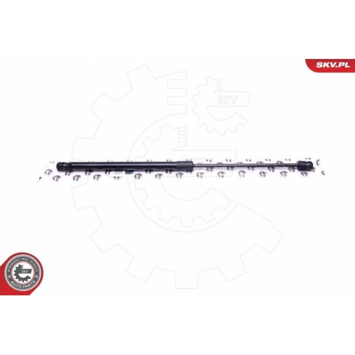 ESEN SKV Gasfeder, Koffer-/Laderaum