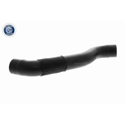 VAICO K&uuml;hlerschlauch Q+, Erstausr&uuml;sterqualit&auml;t V40-1305