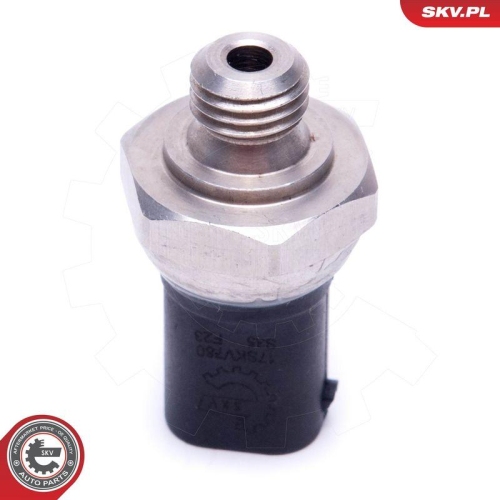 ESEN SKV Sensor, Abgasdruck 17SKV780