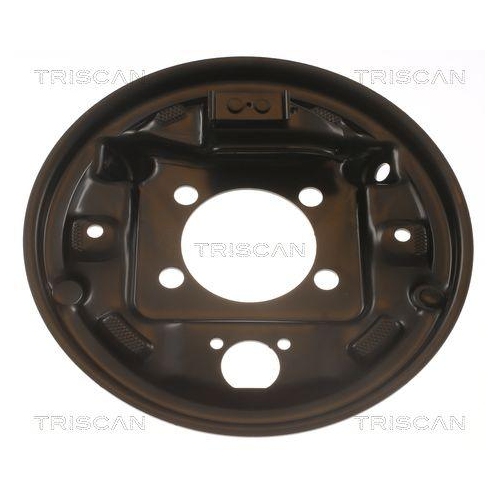 TRISCAN Spritzblech, Bremsscheibe 8125 13207