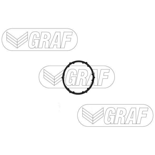 GRAF Wasserpumpe, Motork&uuml;hlung PA1498