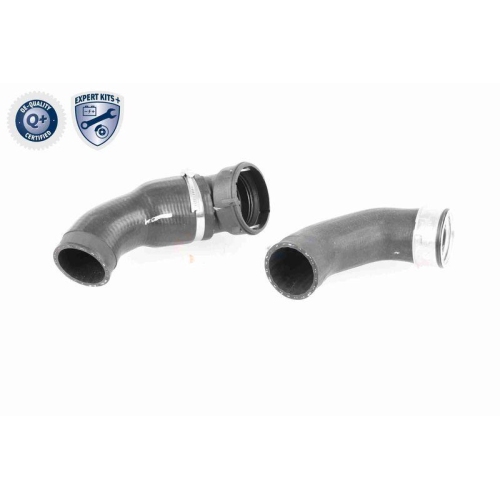 VAICO Ladeluftschlauch EXPERT KITS + V20-2970