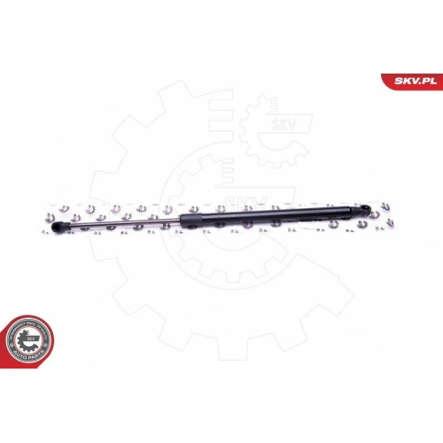 ESEN SKV Gasfeder, Koffer-/Laderaum