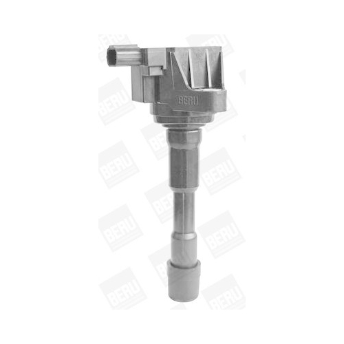BorgWarner (BERU) Z&uuml;ndspule ZSE176