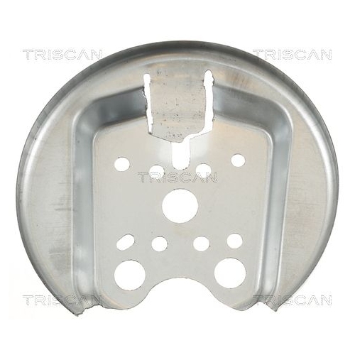 TRISCAN Spritzblech, Bremsscheibe 8125 28201