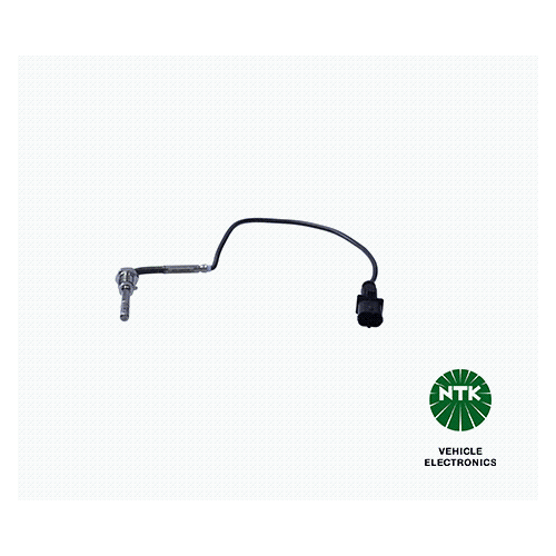 Abgastemperatursensor