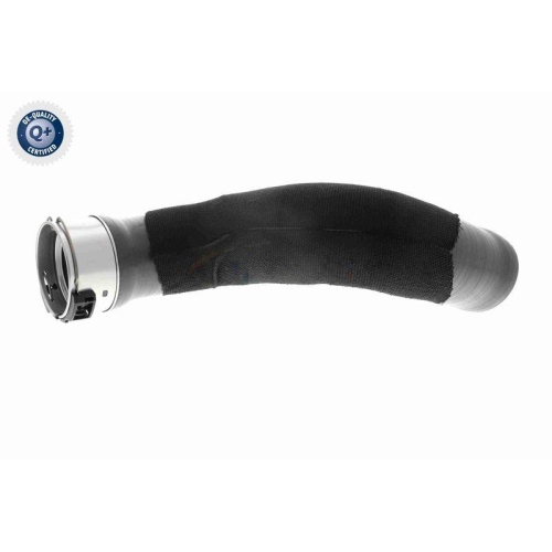 VAICO Ladeluftschlauch Q+, Erstausrüsterqualität