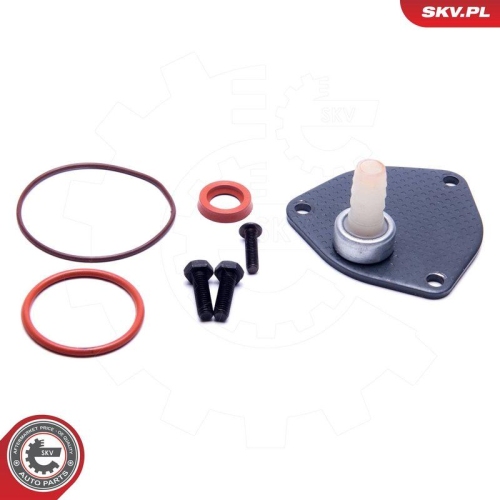 ESEN SKV Reparatursatz, Unterdruckpumpe (Bremsanlage) 18SKV806