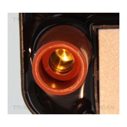 TRISCAN Z&uuml;ndspule 8860 23021