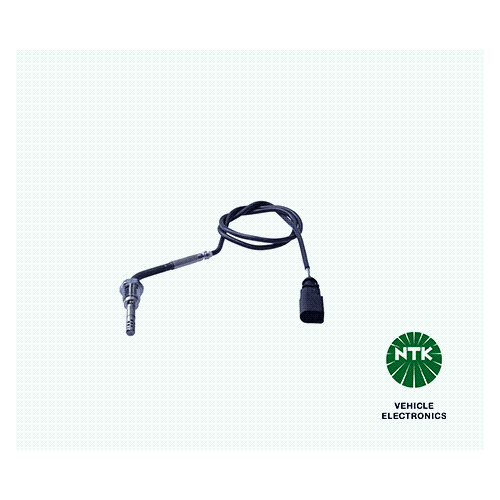 Abgastemperatursensor