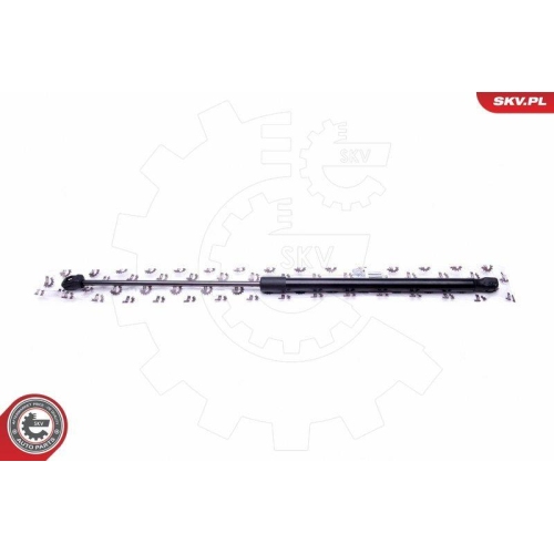 ESEN SKV Gasfeder, Koffer-/Laderaum