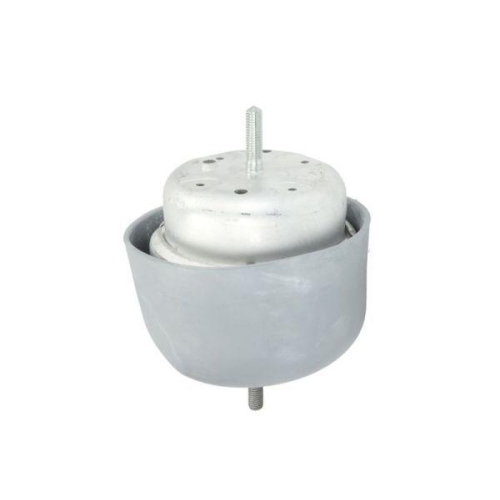 REINHOCH Lagerung, Motor RH11-0119
