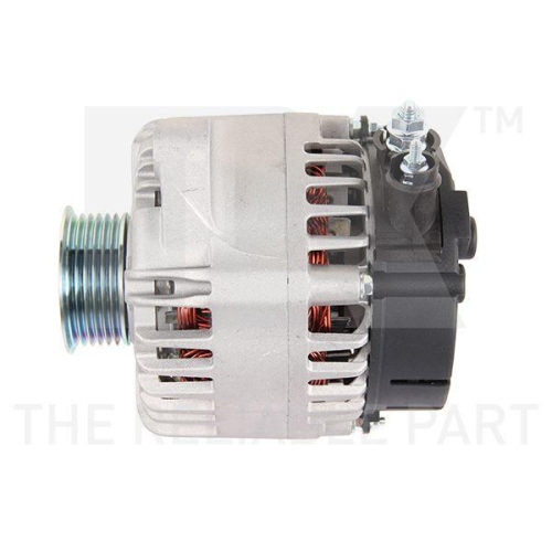 NK Generator 4890663
