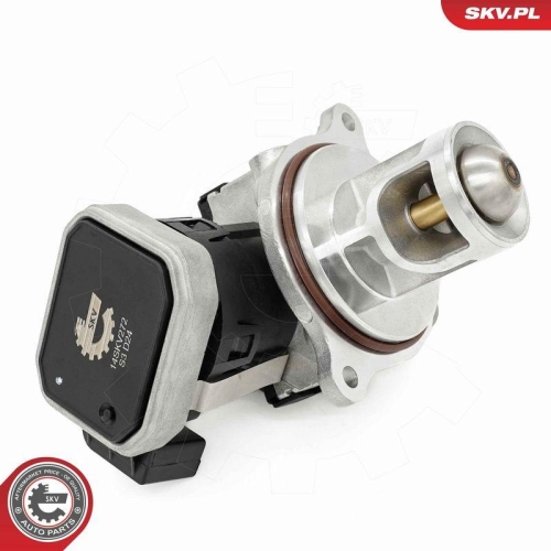ESEN SKV AGR-Ventil 14SKV272