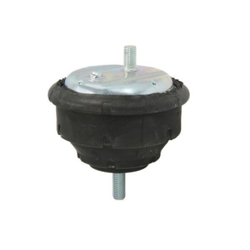 REINHOCH Lagerung, Motor RH11-3005