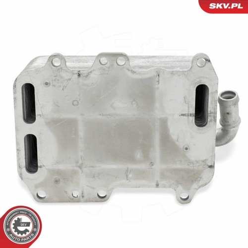 ESEN SKV &Ouml;lk&uuml;hler, Motor&ouml;l 31SKV359