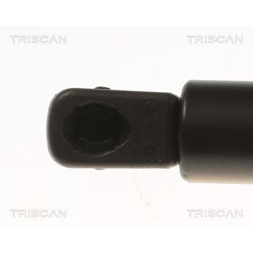 TRISCAN Gasfeder, Koffer-/Laderaum 8710 80204