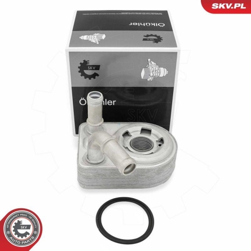 ESEN SKV &Ouml;lk&uuml;hler, Motor&ouml;l 31SKV360