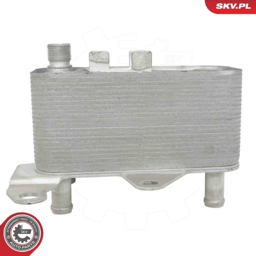 ESEN SKV &Ouml;lk&uuml;hler, Motor&ouml;l 31SKV363