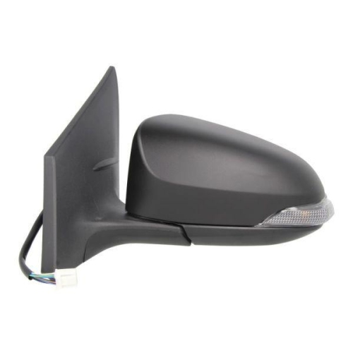 BLIC Außenspiegel 5402-19-2002443P