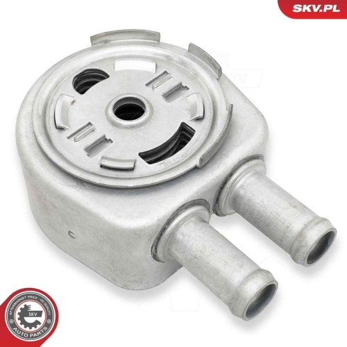 ESEN SKV &Ouml;lk&uuml;hler, Motor&ouml;l 31SKV370